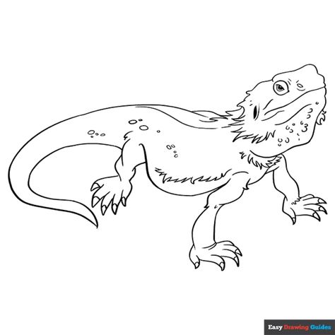 Free Bearded Dragon Lizard Coloring Page for Kids Coloring Pages Dragon, Dragon Head Drawing, Easy Drawing Guides, Drawing Guides, Kids Print, Printable Coloring Sheets, Drawing Tutorial Easy, Coloring Tutorial, Dragon Drawing