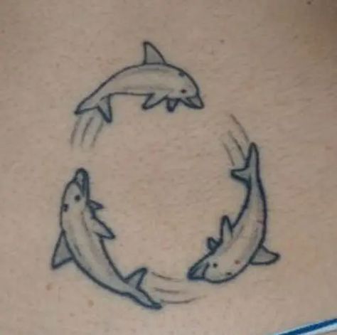 15+ Amazing Dolphin Tattoo Designs and their Meanings Dolphin Tattoo Meaning, Bats Tattoo Design, Dolphin Tattoo, Dolphins Tattoo, Rose Tattoos For Women, Small Arm Tattoos, Tattoo Designs For Girls, Tattoo Videos, Hand Tattoos For Guys