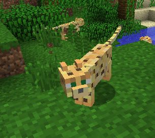 Ocelot – Minecraft Wiki ocelotnatur Minecraft Axolotl Aesthetic, Minecraft Axolotl Habitat Cave, Minecraft Axolotl Wallpaper, Axolotl Minecraft Skin, Minecraft Ocelot, Minecraft Tattoo, Jungle Food, Minecraft Mobs, Live Casino