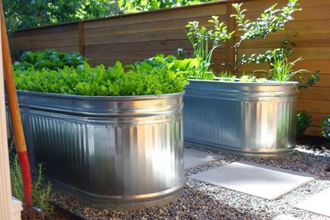 Patio Chico, Galvanized Planters, Raised Vegetable Gardens, Metal Containers, Metal Planters, Front Yard Garden, Gorgeous Gardens, Ideas Pictures, Veggie Garden