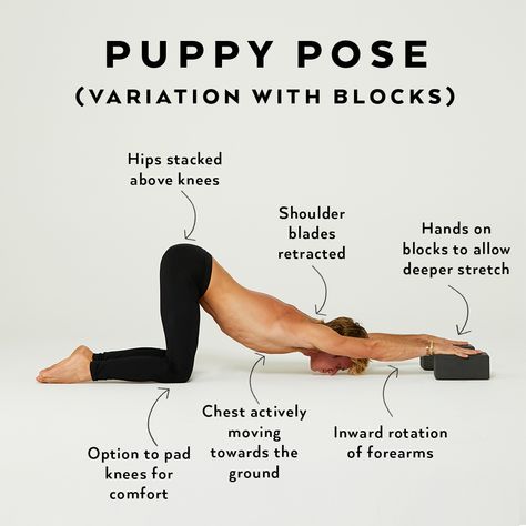 Puppy Pose Yoga, Puppy Pose, Yoga Tutorial, Yoga Beginners, Yoga Exercises, Teaching Yoga, Pose Yoga, Yoga Block, Yoga Teachers