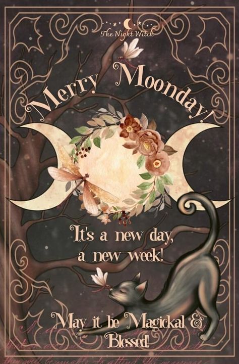 Witchy Morning Quotes, Monday Witch Quotes, Happy Monday Witches, Monday Witch, Witches Quotes, Moon Poetry, Christian Witch, Beautiful Witches, Pagan Quotes