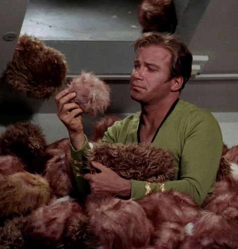 Captain Kirk Tribbles, Jim Kirk Tos, Star Trek Profile Picture, Star Trek Tos Aesthetic, Star Trek Tribbles, Star Trek Kirk, Kirk Star Trek, James Kirk, Jim Kirk