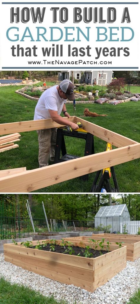 DIY Raised Garden Beds | How to build raised garden beds that will last for years | An easy step-by-step guide for cedar raised garden beds | Free raised garden bed plans | Best wood to use for garden beds | How to prepare a raised garden bed for planting | DIY container gardening | Raised garden bed ideas and garden projects | #TheNavagePatch #DIY #Garden #HowTo #FreePlans | TheNavagePatch.com Beautiful Raised Garden Beds, Diy Raised Garden Beds, Build A Garden, Garden Bed Layout, Diy Container Gardening, Funny Vine, Raised Garden Bed Plans, Cedar Raised Garden Beds, Garden Boxes Raised