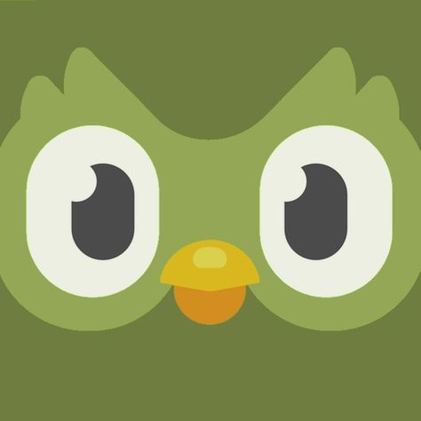 Duolingo Profile Pic, Green Duolingo Icon, Duolingo App Icon Aesthetic, Duolingo App Icon, Duolingo Icon, Homescreen Design, Japanese App, Duolingo App, Nature Icon