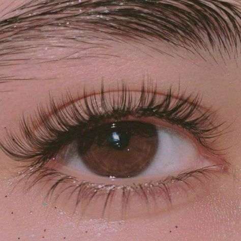 Brown Eyes Aesthetic, Bentuk Alis, Pretty Brown Eyes, Beautiful Brown Eyes, Eye Pictures, Brown Eyed Girls, Forbidden Love, Beauty Goals, Aesthetic Eyes