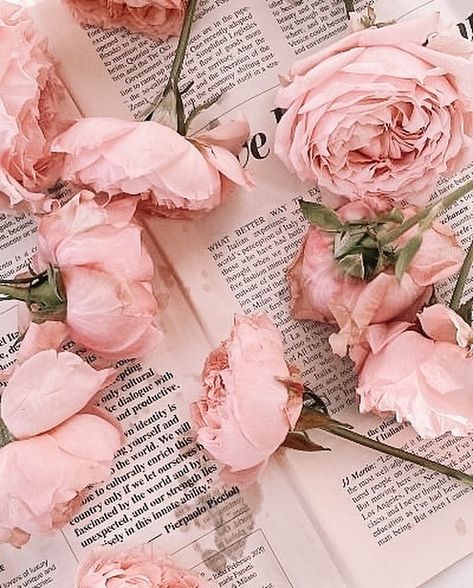 Wallpers Pink, Widget Iphone, Once Upon A Broken, Soft Pink Theme, Baby Pink Aesthetic, Roses Pink, Pastel Pink Aesthetic, Flower Therapy, Rose Pastel