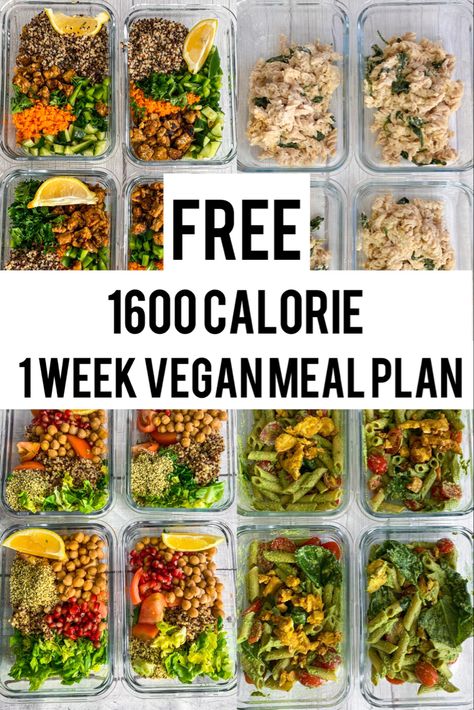 Vegan meal plan 1600 calorie 1600 Calorie Meal Plan, 1800 Calorie Meal Plan, 1500 Calorie Meal Plan, Vegan Meal Plan, Vegan Protein Recipes, 1200 Calorie Diet Meal Plans, Plant Based Meal Planning, Vegan Diet Plan, Daily Meal Plan