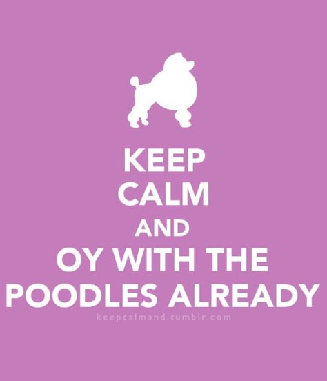 Gilmore Girls quote <3 I need this for work!!! Oy With The Poodles Already, Oy With The Poodles, Gilmore Girls Quotes, Gilmore Girls Fan, Keep Calm Posters, Lorelai Gilmore, Best Shows Ever, Gilmore Girls, Bones Funny