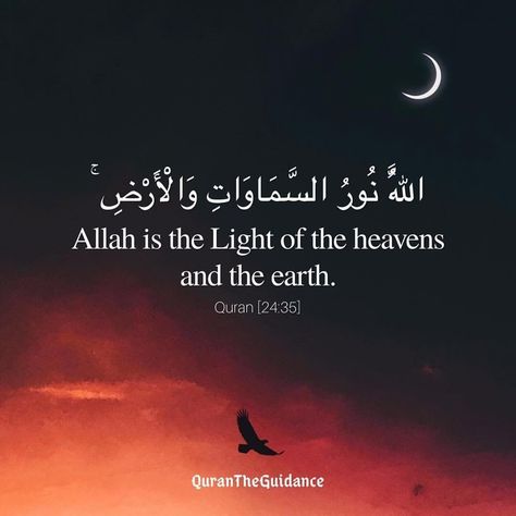 Light Upon Light, Chill Wallpaper, Quranic Verses, Daily Wisdom, Noble Quran, Peace Be Upon Him, Divine Light, Islamic Teachings, The Heavens