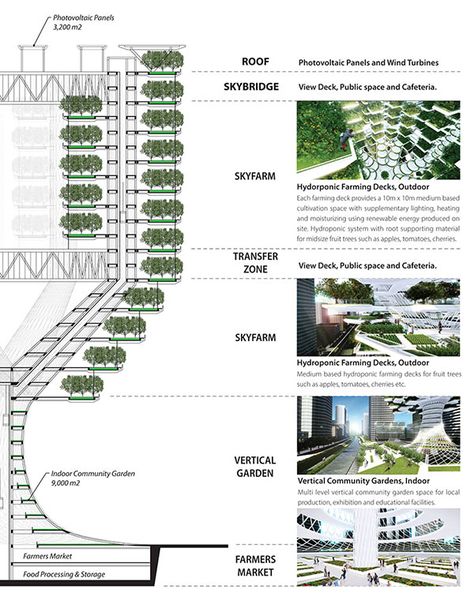 In order to gain maximum exposure to sunlight, the vertical garden lifts the main outdoor vegetation area higher up in the air in a section known as the “leaf” where mostly medium-based hydroponic fruit trees and larger scale vegetables needing more exposure to outside air and sunlight can be produced. The lower portions are controlled indoor environments using solution-based hydroponic farming with artificial lighting which are more suitable for indoor products such as basil, arugula, bok choy Living Machine, Filtering Water, Vertical Forest, Decking Base, Hydroponic Farming, Vertical Farming, Urban Agriculture, Hydroponics System, Hydroponic Gardening