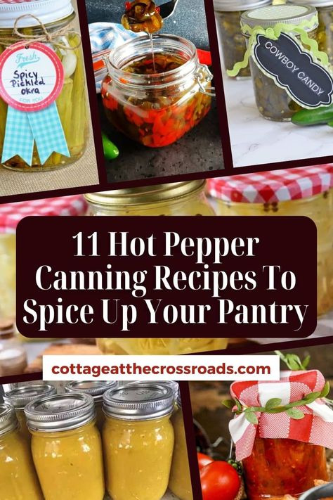 Canning Recipes For Hot Peppers, Pickled Hot Peppers Canning, Canning Hot Peppers Recipes, Pepper Canning Recipes, Canned Hot Peppers Recipes, Can Hot Peppers, Canning Hot Peppers, Canning Peppers, Pickled Hot Peppers