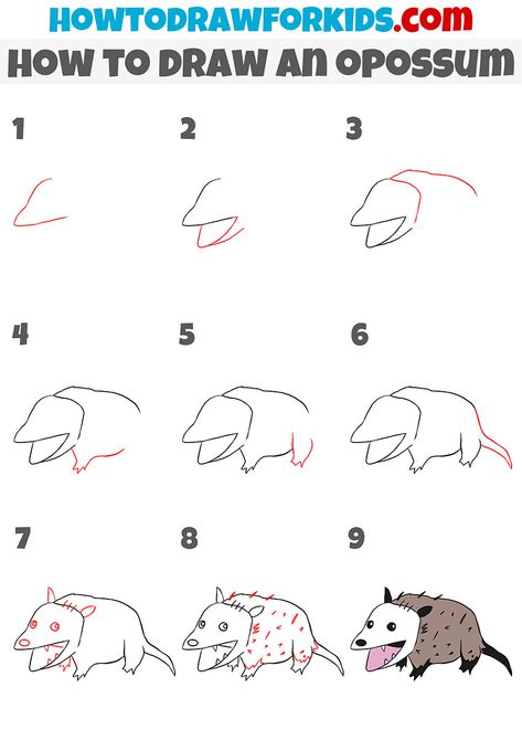 how to draw an opossum step by step How To Draw Opposum, How To Draw Possum, How To Draw An Opossum, How To Draw Opossum, How To Draw A Possum, Opossum Drawing Easy, Opossum Doodle, Possum Drawing Easy, Cute Opposum Drawing