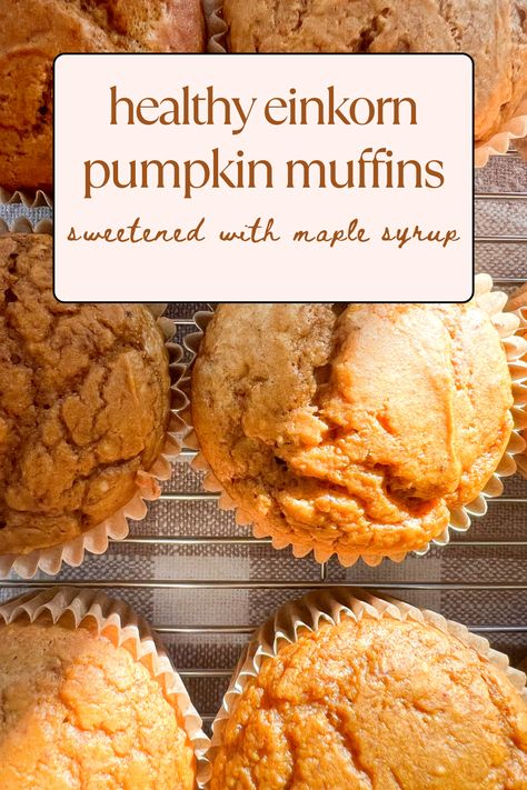 Deliciously healthy einkorn flour pumpkin muffins, naturally sweetened with maple syrup and perfect for kids to enjoy all day long! These cozy, nutrient-packed treats bring out the flavors of fall while keeping it wholesome and kid-friendly. Einkorn Flour Muffins, Dairy Free Muffins, Delicious Muffins, Einkorn Flour, Pumpkin Spice Muffins, Healthy Sweet Treats, Pumpkin Muffins, Muffin Tins, Muffin Cups