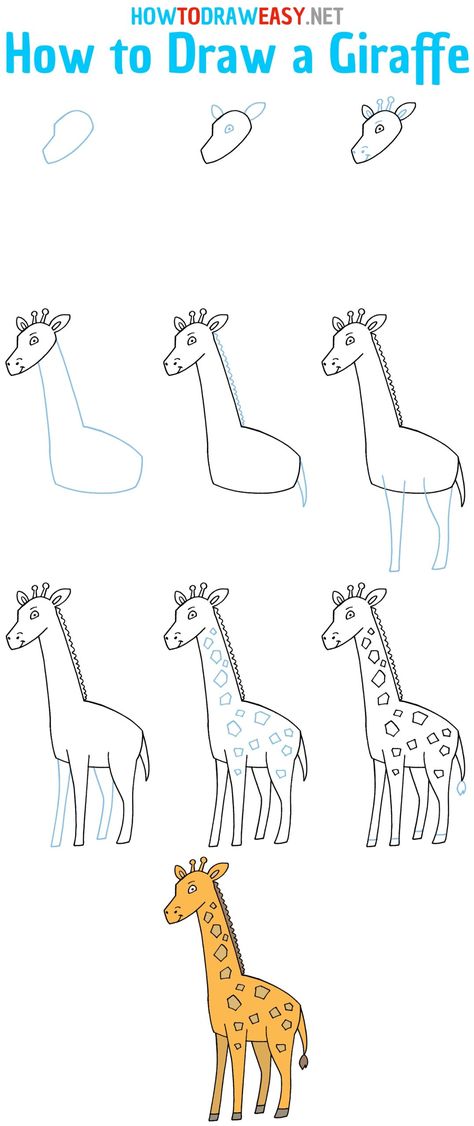 How to Draw a Giraffe Step by Step #Giraffe #GiraffeDrawing #StepbyStepGiraffeDrawing #GiraffeHowtoDraw #DrawGiraffe #CartoonGiraffe #EasyDrawings #Sketch #DrawingTutorials Zirafah Drawing, Easy Giraffe Drawing, Draw Giraffe, Giraffe For Kids, Zoo Drawing, Art Steps, Trin For Trin Tegning, Jungle Drawing, Cartoon Doodles