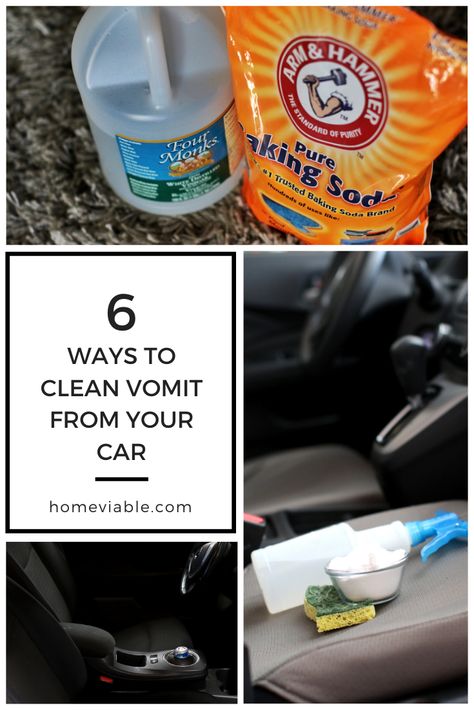 How To Clean Vomit From Car, How To Remove Vomit Smell From Couch, How To Remove Vomit Smell From Carpet, Remove Vomit Smell From Carpet, Vomit Clean Up Tips, How To Get Vomit Smell Out Of Couch, Clean Car Carpet Diy, Sick Kit, Cleaning Leather Car Seats