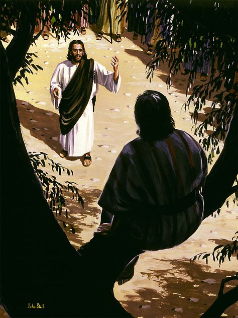 Zaqueo y Jesus Life Of Jesus Christ, Jesus Christ Painting, Pictures Of Christ, Religious Pictures, Bible Images, Bible Illustrations, Jesus Christ Art, Bible Characters, Bible Pictures