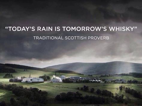 Today's rain is tomorrow's whisky. Scottish Quotes, Great Scot, Scotland Forever, Scottish Gaelic, Love Rain, Scottish Heritage, Scotland Travel, Scotch Whisky, Scottish Highlands