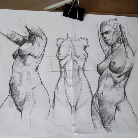 Charcoal Illustration, Fascia Blaster, Body Image Art, Nude Artwork, Human Anatomy Art, Anatomy Sketches, Painting Sketch, Female Art Painting, Beauty Art Drawings