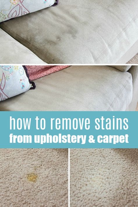 How To Remove Stains From Furniture and Upholstery - Tonya Staab Clean Hacks, Homemade Toilet Cleaner, Clean Baking Pans, Hardwood Floor Cleaner, Cleaning Painted Walls, Glass Cooktop, Deep Cleaning Tips, Stain Removal, Clean Dishwasher