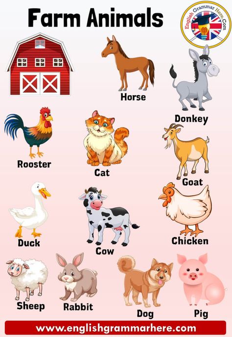 Farm Animals Names, Definition and Examples Farm Animals Farm animals are animals that feed in an environment. Livestock breeding can also be carried out to generate income, for example, from the milk of animals such as cows, goats, sheep; Hens ‘eggs and bees’ honey can benefit in this way. Such animals are mostly raised on the same farm. Some animals are raised on farms to produce products such as food and fiber. Animals Names List from A to Z Animal species are in some groups, for example; ... Farm Animals List, Animals Name With Picture, Animals Name List, Herbivorous Animals, Farm Animals Pictures, Animals Name In English, Animal Pictures For Kids, Farm Animals Preschool, Disiplin Anak