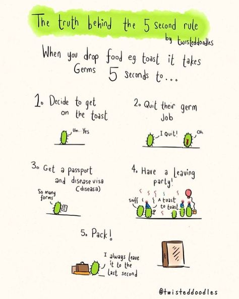 The truth behind the 5 second rule 5 Second Rule, Science Cartoons, Phd Life, Funny Sites, Science Geek, You Make Me Laugh, Geek Humor, Science Humor, Science Biology