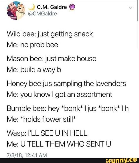 Wild bee: just getting snack Me: no prob bee Mason bee: just make house Me: build a way b Honey beezjus sampling the Iavenders Me: you know I got an assortment Bumble bee: hey *bonk" Ijus *bonk*I h Me: *holds flower stilI* Wasp: I'LL SEE U IN HELL Me: U TELL THEM WHO SENT U 7/8/18,12:41 AM – popular memes on the site iFunny.co Dragonborn Bard, It's Funny, A Silent Voice, Very Funny, What’s Going On, Tumblr Funny, Bones Funny, Funny Posts, Writing Prompts