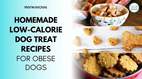 Low Calorie Treats For Dogs, Low Calorie Dog Treat Recipes, Low Calorie Dog Treats Homemade, Low Calorie Dog Treats, Low Fat Dog Treats, Dog Treats Recipes, Low Calorie Pumpkin, Dog Treats Homemade, Treat Business