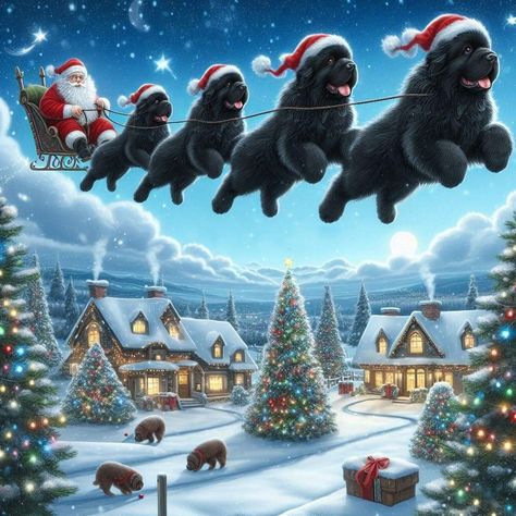 Santa Images, Newfie Dog, Bernese Dog, Black Labs Dogs, Newfoundland Puppies, Black Dogs, Christmas Artwork, Lab Dogs, Newfoundland Dog