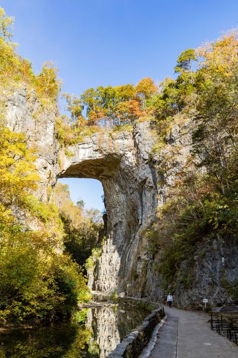 Natural Bridge State Park in Lexington, VA Blue Ridge Parkway Virginia, Places To Visit In Virginia, Swamp Rabbit Trail, Lexington Virginia, Allegheny Mountains, Colonial Beach, Summer Road Trips, Florida Getaway, Virginia Mountains