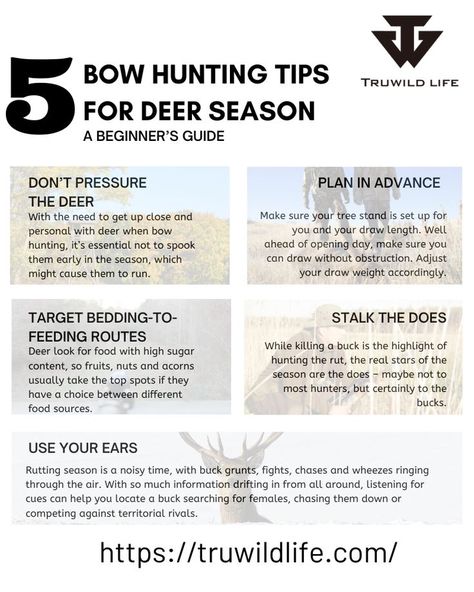 5 BOW HUNTING TIPS FOR #deerseason ✅A BEGINNER’S GUIDE . . . #bowhuntinglife #deerhunting #deerhuntingseason #huntingwisconsin #truwildlife #tidewe #huntingtips Bow Hunting Tips, Deer Hunting Season, Deer Hunting Tips, Deer Meat, Deer Season, Hunting Tips, Bow Hunting, Deer Hunting, Beginners Guide