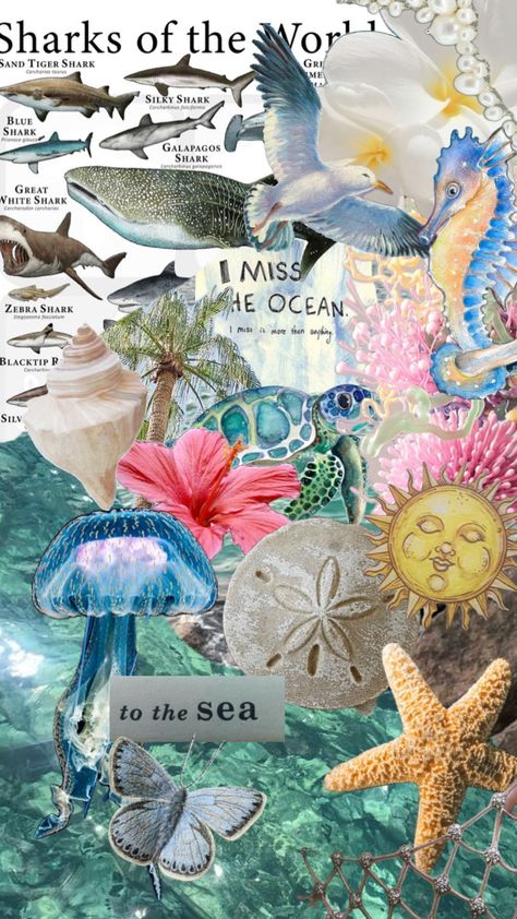 #ocean #aesthetic #beach #marinelife #biology #summer Marine Bio Aesthetic, Marine Biologist Aesthetic, Marine Biology Aesthetic, Summer Beach Wallpaper, Color Aesthetic, Ocean Aesthetic, Wardrobe Door, Marine Biologist, Beach Wallpaper