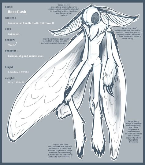 ..: PRE-REF :: Hackflash :.. by porcuMoose.deviantart.com on @DeviantArt Moth Humanoid, Moth Character, Venezuelan Poodle Moth, Poodle Moth, Grimoire Book, Creature Design, Art Reference Photos, Character Design Inspiration, Character Inspiration