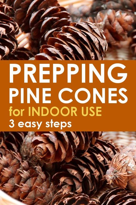 Pine Cone Projects, Pine Cone Ideas, Pinecone Ideas, Pinecone Art, Mini Pine Cones, Pinecone Crafts Christmas, Pine Cone Art, Diy Pinecone, Pinecone Crafts