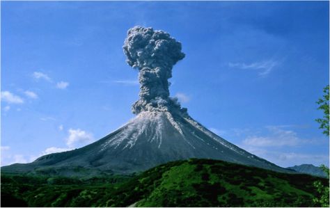 A new study shows how large volcanic eruptions cool tropical Africa, spawning El Niño events. Intermittent Explosive Disorder, Volcano Projects, Mount Pinatubo, Shield Volcano, Scanning Electron Microscope, Erupting Volcano, Volcanic Ash, Crazy Facts, Lava Flow