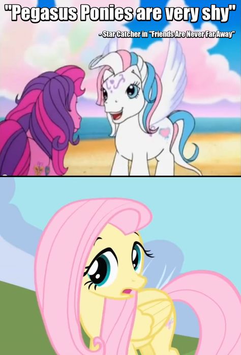 Mlp Star Catcher, Star Catcher, Mlp G3, Tiny Horses, Mlp Memes, My Little Pony Poster, Mlp Comics, My Lil Pony, My Little Pony Comic