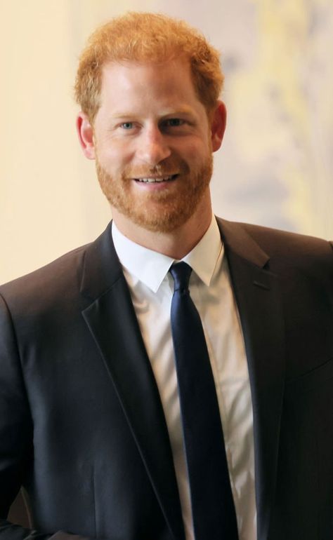 Will Prince Harry make that much money for his book 'Spare'? Prinz Harry, Harry Meghan, Netflix Documentaries, Royal Family News, Royal Life, British Monarchy, Family Stories, Family Moments, British Royalty