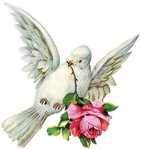 Victorian Scrap, Victorian Christmas, Vintage Birds, Vintage Valentines, Post Cards, Art Plastique, Vintage Cards, Vintage Graphics, Bird Art