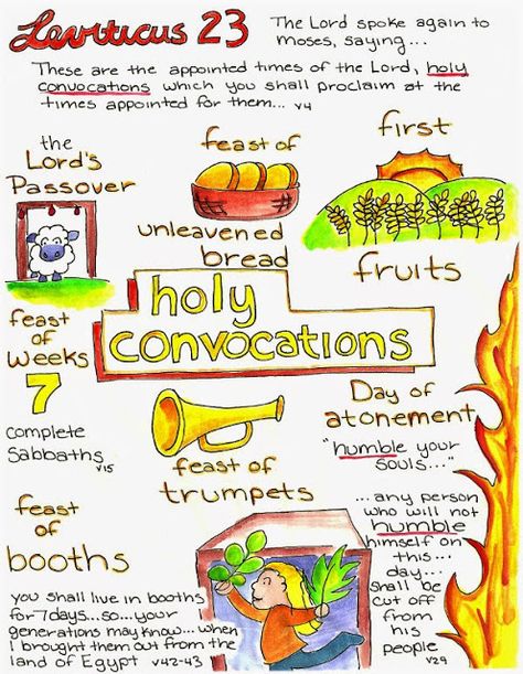 Doodle Through The Bible: Leviticus 23 Illustrated Faith Journal entry for Good Morning Girls (GMG) Bible Study, Free printable PDF Coloring page link at the website. Leviticus 23 Feasts, Bible Infographics, Leviticus 23, Faith Journal, Good Morning Girls, Journal Entry, Bible Study Notebook, Bible Study Journal, Bible Study Notes