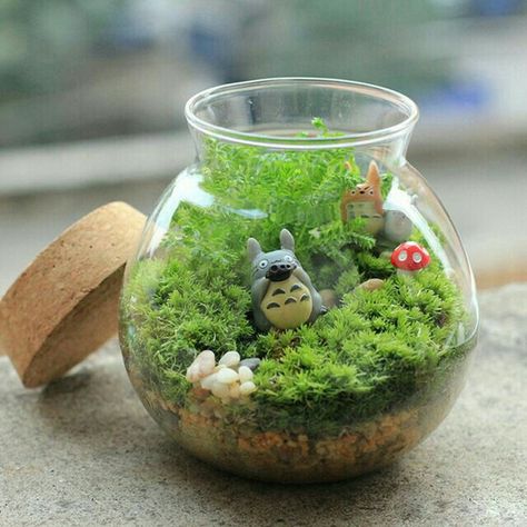 Totoro Diy, Plant Fairy, Garden Ornaments Diy, Decor Balls, Miniature Terrarium, Mushroom Crafts, Mini Fairy Garden, Green Gift, Fairy Garden Decor