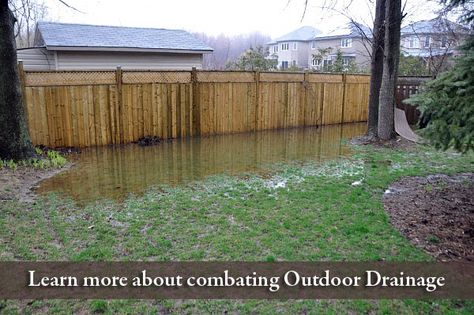 outdoor drainage edina mn French Drain Along Fence, Flooded Backyard Solutions, Backyard Flooding Solutions, Water In Backyard, Erosion Plants, French Drain Landscaping, Heavenly Landscape, Yard Grading, Yard Drain