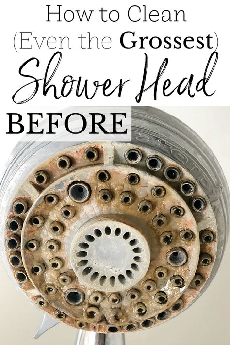 Learn how to clean a shower head naturally! Shower heads can become clogged with hard water minerals and iron. This cleaning method is so easy and it works like magic with hardly any work! How To Clean Pebble Shower Floor, How To Clean Shower Head, Clean A Shower Head, Clean Shower Head, Removable Shower Head, Pebble Shower Floor, Toilet Stains, Shower Cleaning, Lavender Laundry