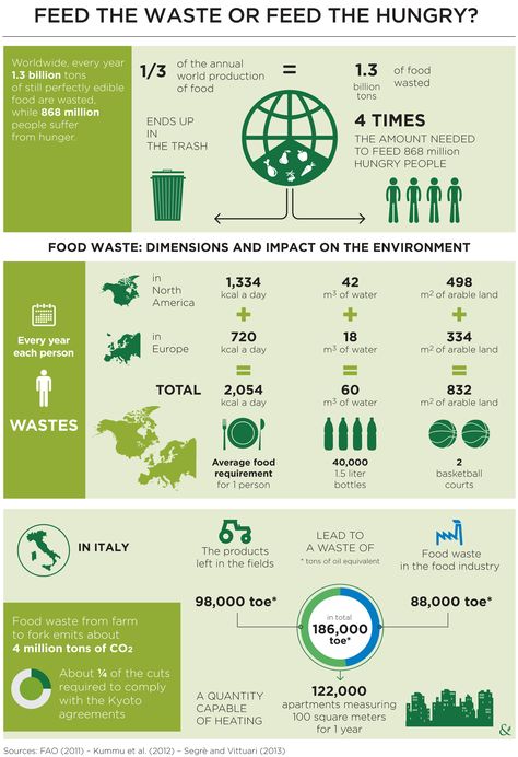 The Problem Of Food Waste Food Waste Project, Water Facts, Milk The Cow, Food Wastage, Infographic Layout, Infographic Design Layout, Food Infographic, World Hunger, Food Insecurity