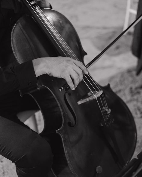 What’s everyone’s favorite photos from a wedding? Because mine might be the details..🎂🥹 #charlestonphotographer #charlestonphotography #weddingphotography #detailphotography #mexico #mexicotravel Documentary Wedding Photos, Documentary Wedding, Violin, Documentaries, Opera, Wedding Photos, A Wedding, Give It To Me, Music Instruments