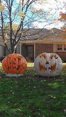 We enjoyed seeing these giant pumpkins carved into jack-o-lanterns Giant Jack O Lantern, Biggest Pumpkin, Large Pumpkins, Giant Pumpkin, Large Pumpkin, Pumpkin Jack, Fall Outdoor Decor, Harvest Festival, Fall Outdoor