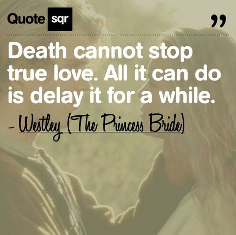 All it can do is delay it for a while.. The Princess Bride Quotes, Princess Bride Quotes, Venue Party, Bride Quotes, Movie Nerd, The Princess Bride, Favorite Movie Quotes, About Success, Romantic Fantasy