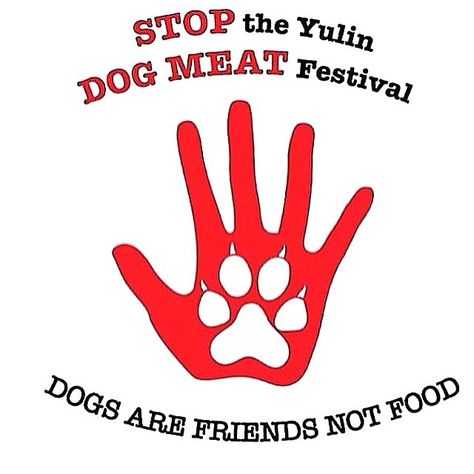 Yulin Dog Festival, Dog Festival, Stop Animal Cruelty, Animal Advocacy, Animal Groups, Save Animals, Dog Eating, Animal Rights, Love Your Life