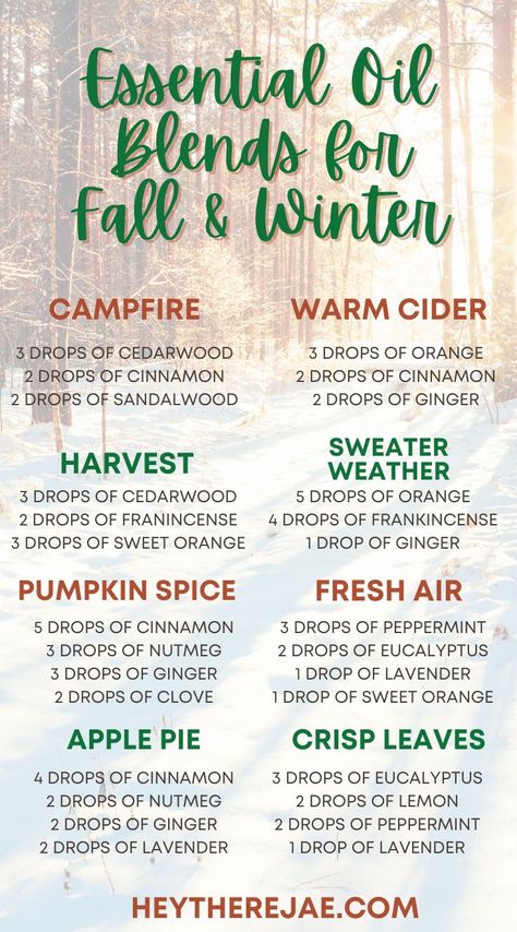 Essential Oil Blends for Fall and Winter | Essential oil diffuser blends recipes, Fall essential oil blends, Fall essential oils Fall Scents Essential Oils, Best Essential Oil Blends, Fall Essential Oil Blends, Fall Essential Oils, Essential Oil Combinations, Essential Oil Diffuser Blends Recipes, Essential Oils Guide, Essential Oils Herbs, Essential Oil Diffuser Recipes