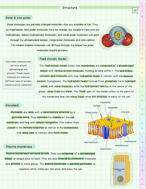 Cell Membrane Notes, Aesthetic Biology Notes, Aesthetic Biology, Cell Membrane Structure, Bio Notes, Biochemistry Notes, Membrane Structure, Organic Molecules, Notes Aesthetic