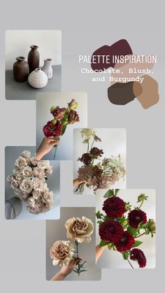 60 Color Schemes ideas in 2022 | wedding flowers, types of flowers, flower names Wedding Flower Color Palettes, Wedding Flowers Types, Flower Kinds, Flowers Types, Flower Palette, Flower Recipe, Diy Floral Wreath, Flower Backdrop Wedding, Luxury Flower Bouquets